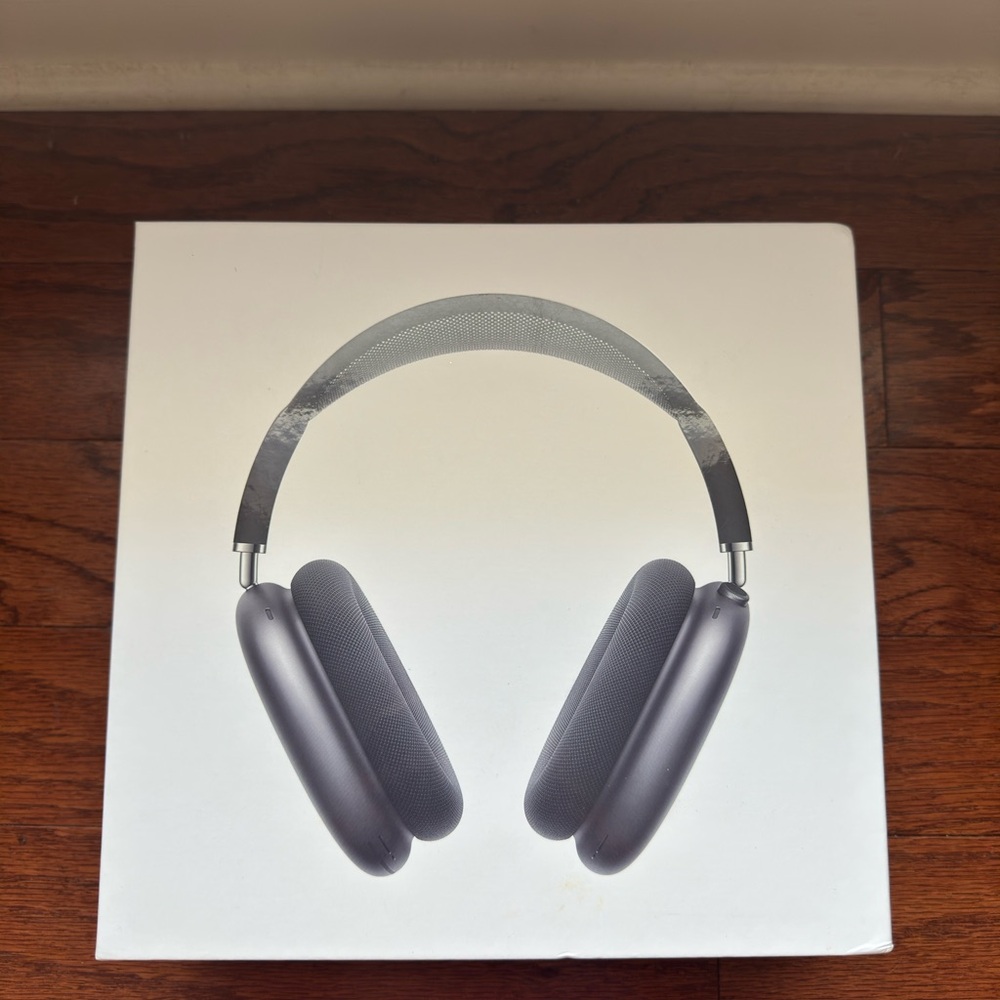 Apple Headphones in Dark Gray
